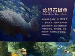 -泉州海丝野生动物世界