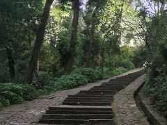 -张氏父子常德肠子馆(湘江世纪城直营店)