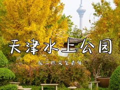 -天津水上公园