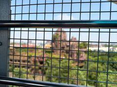 -长鹿旅游休博园