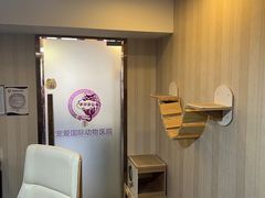 -宠爱国际动物医院·消化内科·心肾内科·ISFM猫友好(望京店)