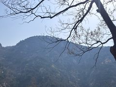 -鲁山国家森林公园