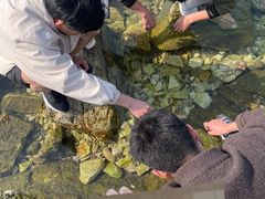 -养马岛旅游度假区