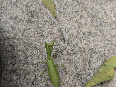 -北京凤凰岭