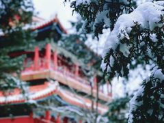 -故宫博物院(故宫)