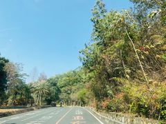 -红花湖景区