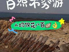 -巧克力渔家.小船海鲜胶东菜(万平口店)