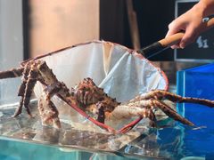 帝王蟹套餐-綱元·海鲜豆捞(明州里店)
