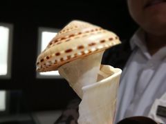 -青岛贝壳博物馆