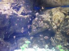 -南昌融创海世界