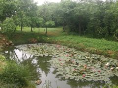 -盘龙城国家考古遗址公园