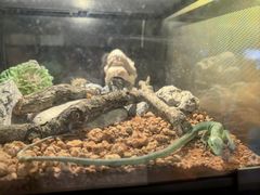 -太平洋海底世界