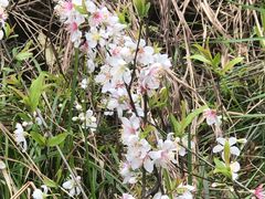 -青龙山国家森林公园