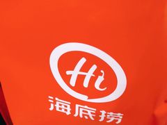 -海底捞火锅(吾悦国际广场店)