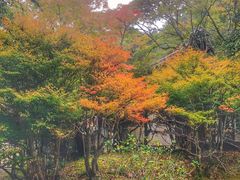 -醍醐寺