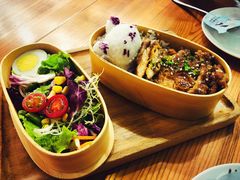 -猫小院猫主题餐厅(三里屯店)