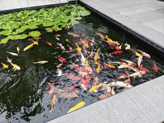 -广州白天鹅宾馆