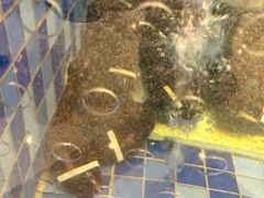 -顺峰(南二环店)