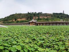 -渭南桃花源民俗文化园