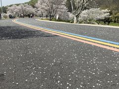 -羊山湖公园