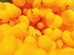 -LINLEE林里·手打柠檬茶(黄浦茂名南路店)