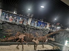 -吉林省自然博物馆