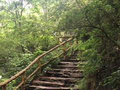 -木兰云雾山