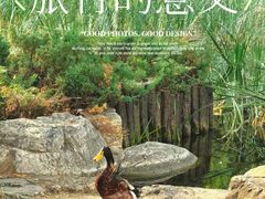 -海淀公园