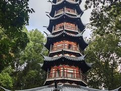 -上海佘山国家森林公园西佘山园