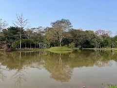 -中国科学院西双版纳热带植物园