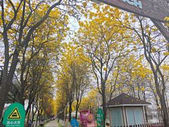 -盈香心动乐园