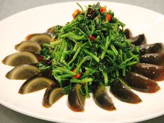 -东哥紫阳蒸盆子(旺座·现代城店)