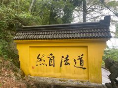 -九华山风景区