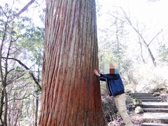 -东天目山风景区
