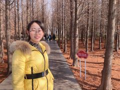 -溱湖国家湿地公园