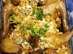 -百利鸽王(紫薇路店)