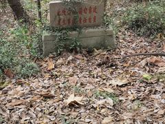 -上海佘山国家森林公园天马山园