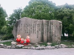 景点-溱湖国家湿地公园