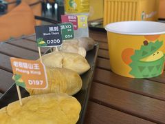 -榴莲BB 四季果园