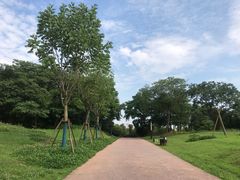 -盘龙城国家考古遗址公园