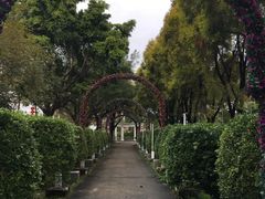 -广东花都香草世界旅游度假区