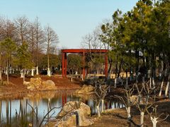 -春花秋色城市公园