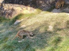 -泉州海丝野生动物世界