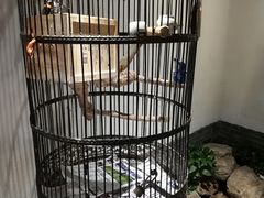 -清真·京华源铜锅涮肉(丰庆店)