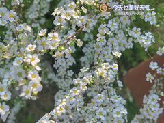 -无锡梅园公园