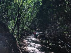 -妙峰山风景名胜区