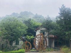-陕西省红河谷森林公园