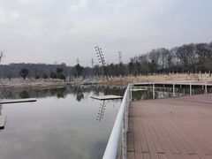 -佛手湖郊野公园