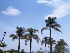 -月亮湾湿地公园