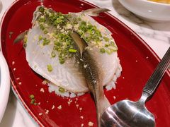 -钟菜·粤菜点心·宴请(海上世界·汇港二期店)
